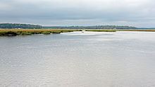 Sapelo River httpsuploadwikimediaorgwikipediacommonsthu
