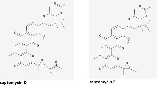 Saptomycin