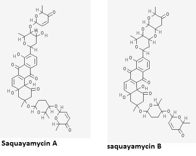 Saquayamycin