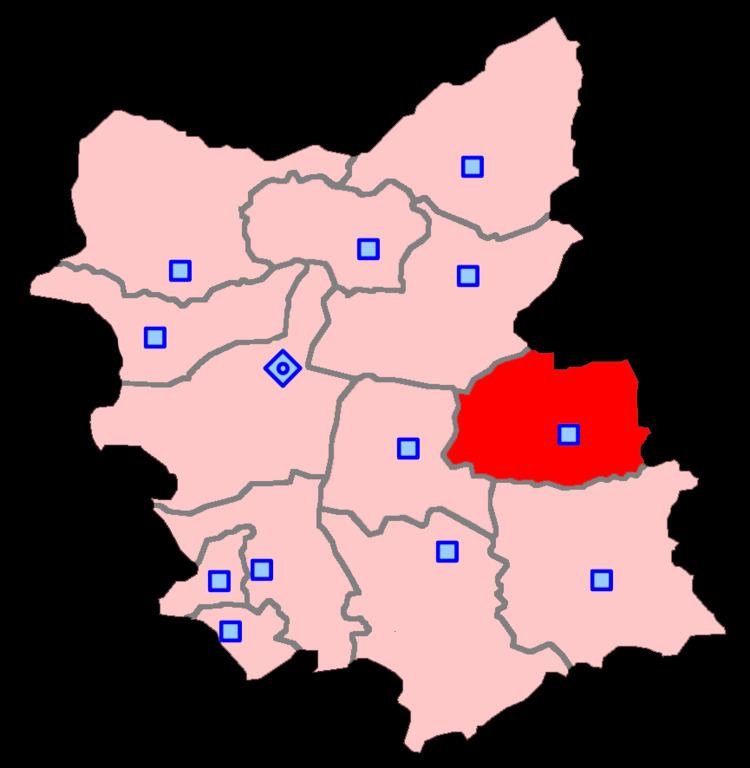 Sarab (electoral district)