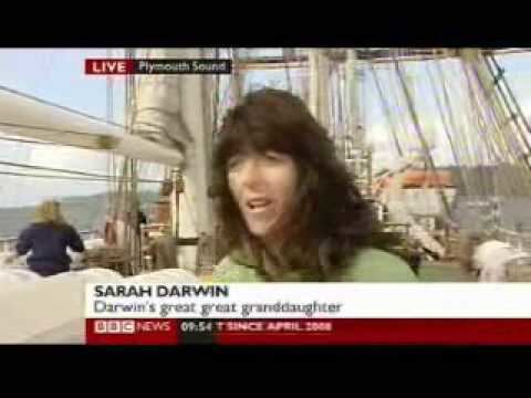 Sarah Darwin BBC News Sarah Darwin YouTube