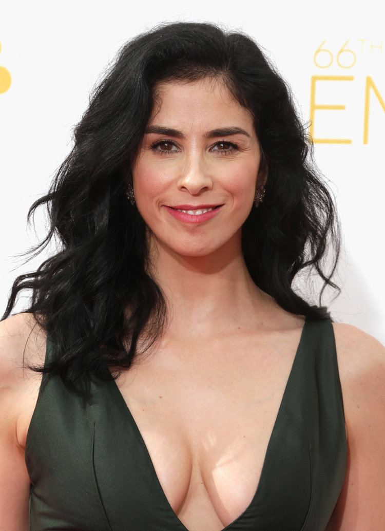 Sarah Silverman Sarah Silverman See Every Dazzling Hair and Makeup Look