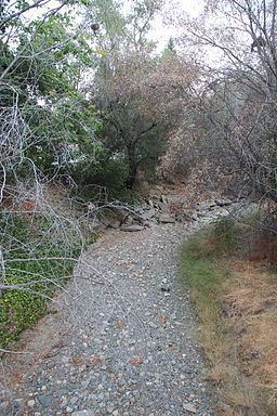 Saratoga Creek httpsuploadwikimediaorgwikipediacommonsthu