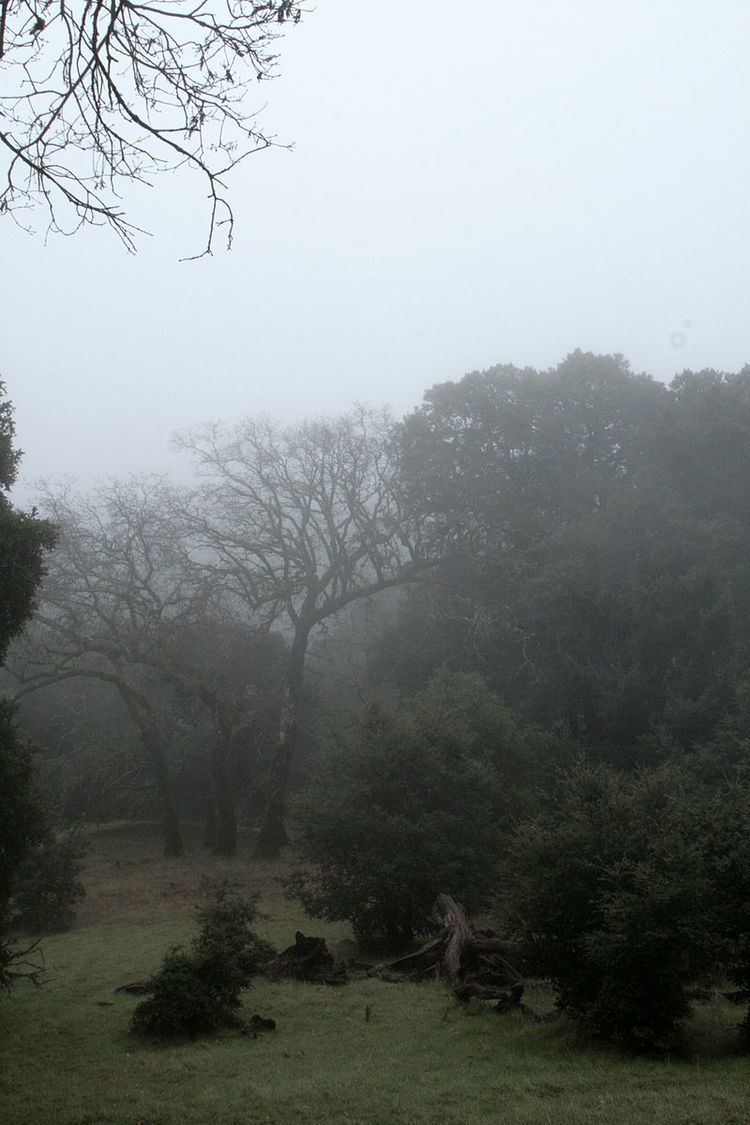 Saratoga Gap Open Space Preserve