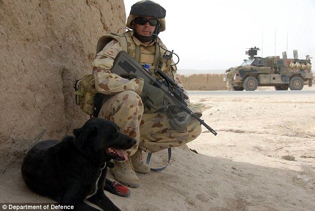 Sarbi Australia39s most decorated CANINE Sarbi has died after a battle with