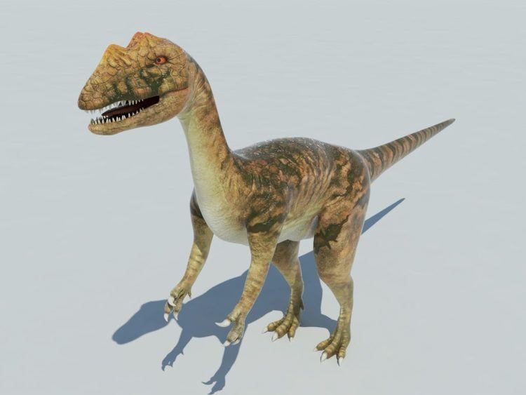 Sarcosaurus Sarcosaurus 3D Model VR AR Ready 3D Models World
