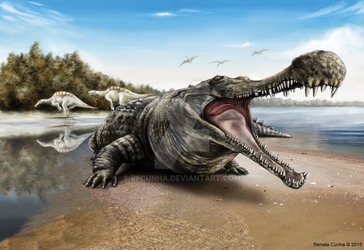 Sarcosuchus Sarcosuchus Facts and Pictures