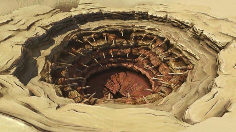 Sarlacc 1000 images about Sarlacc on Pinterest Nice Cross section and