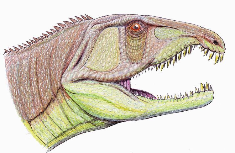 Sarmatosuchus