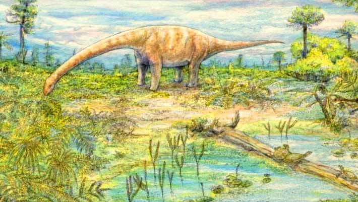 Sarmientosaurus Sarmientosaurus musacchioi New Titanosaur Species Discovered in