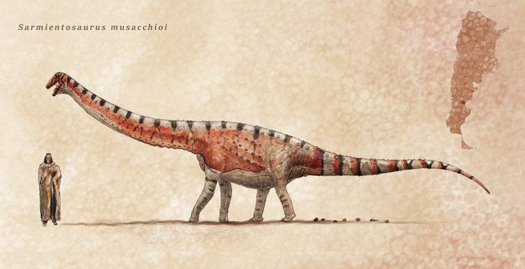 Sarmientosaurus Sarmientosaurus by Hyrotrioskjan on DeviantArt