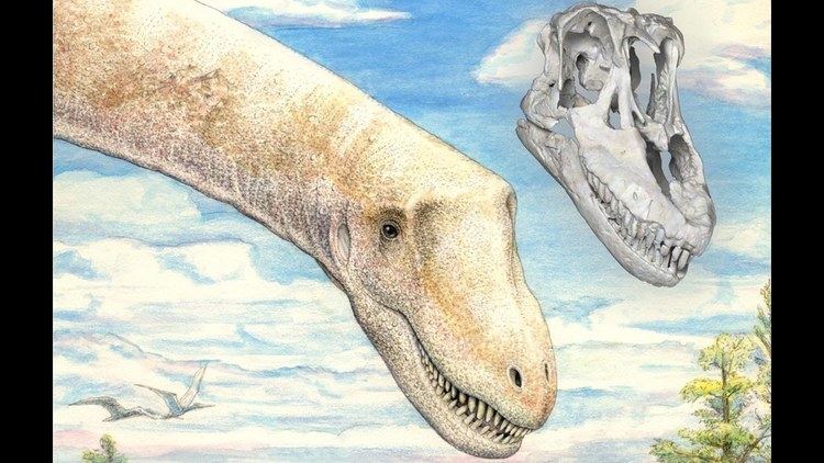 Sarmientosaurus Sarmientosaurus musacchioi new titanosaurian sauropod dinosaur