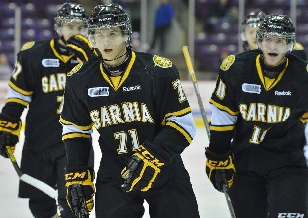 Sarnia Sting OHL 20 in 20 Sarnia Sting Ontario Hockey League