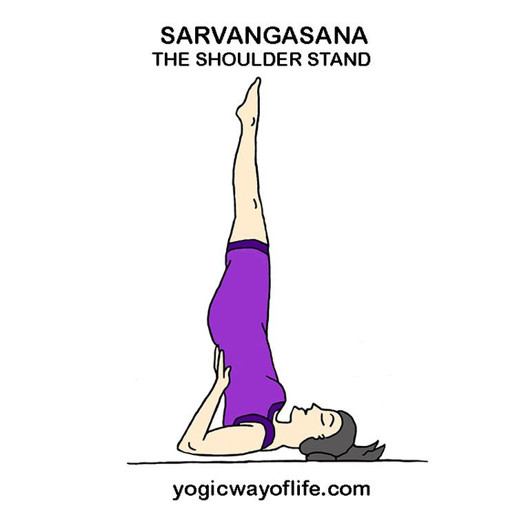 Sarvangasana Sarvangasana The Shoulder Stand Pose Yogic Way Of Life