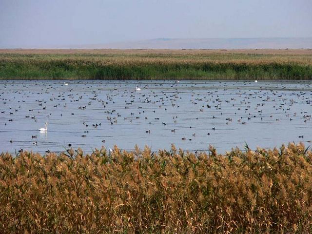 Saryarka — Steppe and Lakes of Northern Kazakhstan Saryarka Steppe and Lakes of Northern Kazakhstan a gallery on Flickr