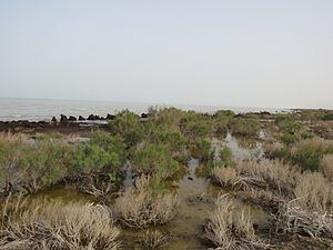 Sarygamysh Lake httpsuploadwikimediaorgwikipediacommonsthu