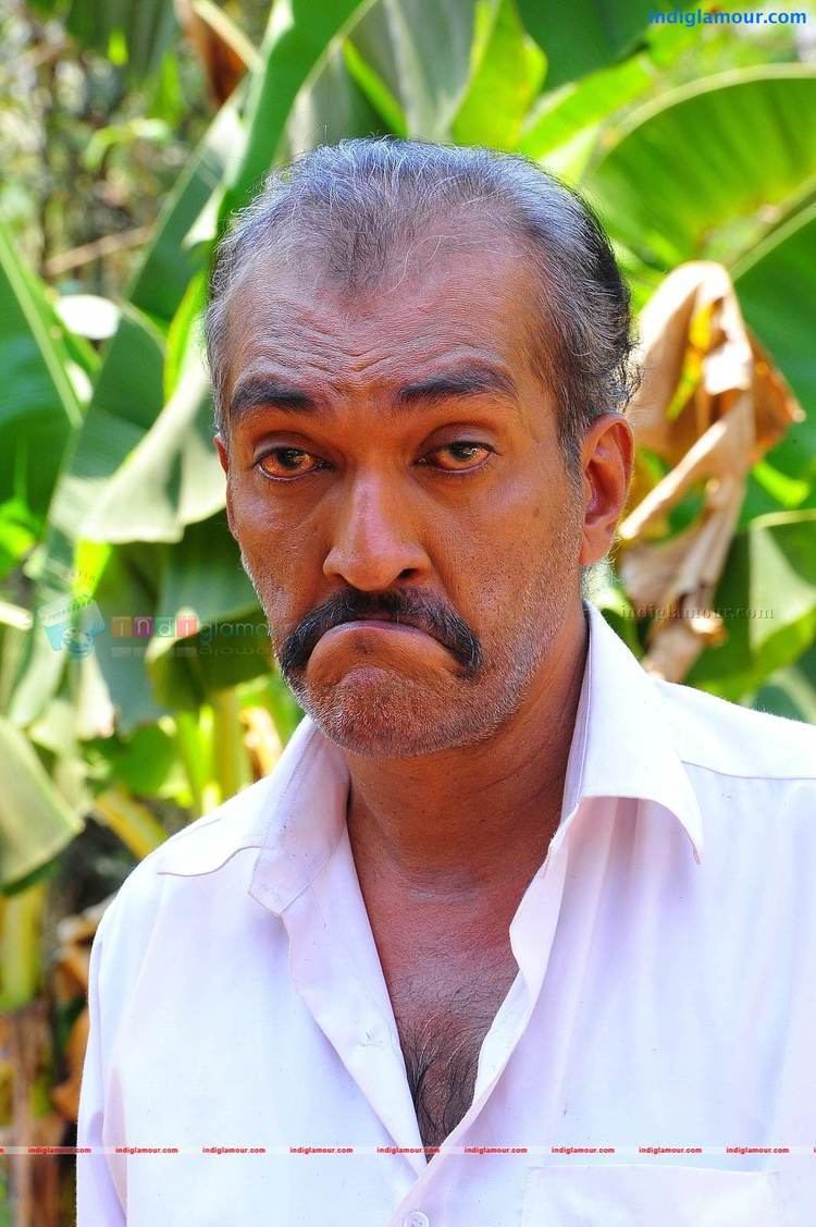 Sasi Kalinga iindiglamourcomphotogallerymalayalamactor201