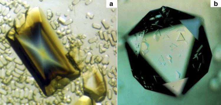 Satellite tobacco mosaic virus