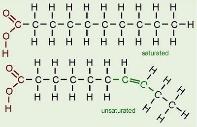 Saturated and unsaturated compounds Which hydrocarbons are saturated Which ones are unsaturated Quora
