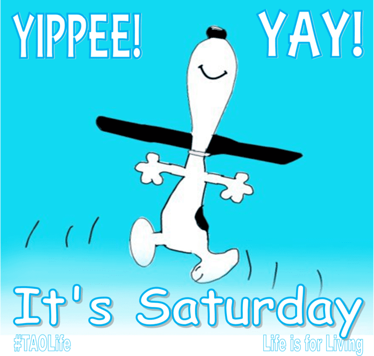 Saturday 1000 images about Saturday on Pinterest Snoopy love Woodstock