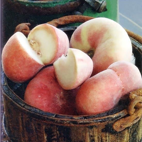 Saturn Peach wwwmotherearthnewscommediaImagesMENEditori