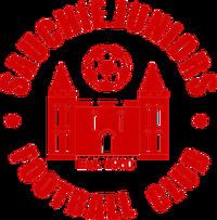 Sauchie Juniors F.C. httpsuploadwikimediaorgwikipediaenthumb5