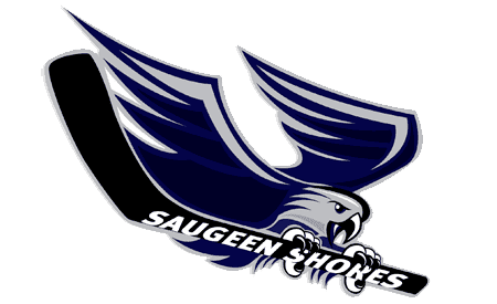 Saugeen Shores Winterhawks httpswinterhawksnetfileswordpresscom201612
