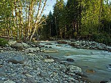 Sauk River (Washington) httpsuploadwikimediaorgwikipediacommonsthu