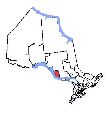 Sault Ste. Marie (electoral district)