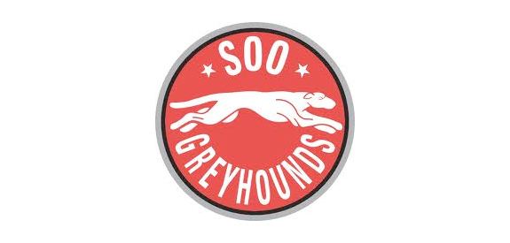 Sault Ste. Marie Greyhounds 79 Sault Ste Marie Greyhounds Grads Still Active OHL Alumni Central