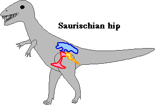 Saurischia Saurischian Dinosaurs Enchanted Learning Software