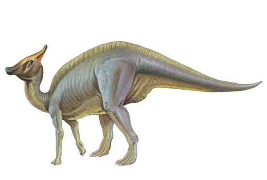 Saurolophus Saurolophus Pictures amp Facts The Dinosaur Database