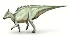 Saurolophus httpsuploadwikimediaorgwikipediacommonsthu
