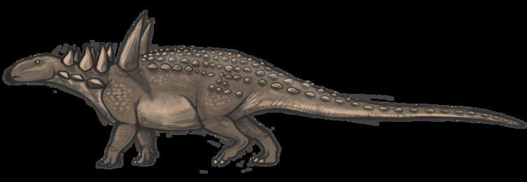 Sauropelta Sauropelta edwardsorum Dinosauria Ornithischia Ankylosauria