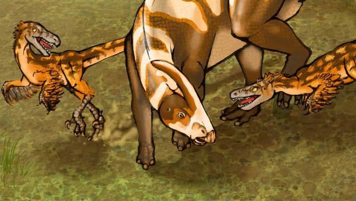 Saurornitholestes Saurornitholestes sullivani New Dinosaur Discovered in New Mexico