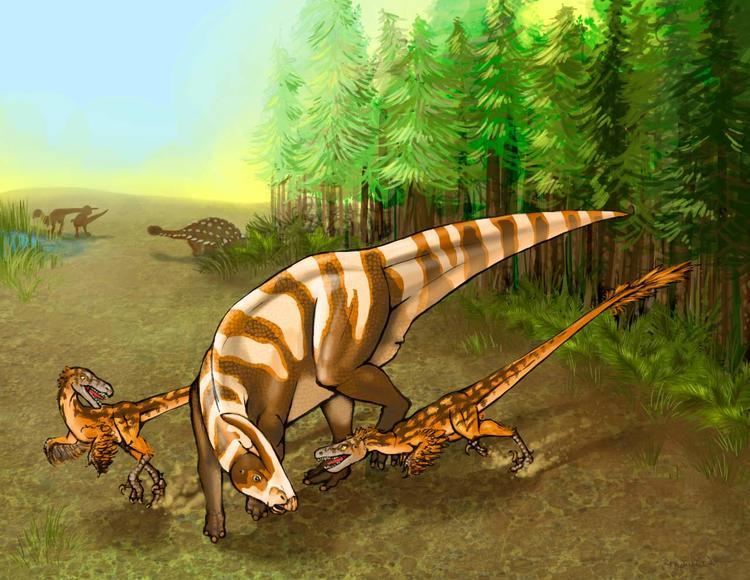 Saurornitholestes Saurornitholestes sullivani New Dinosaur Discovered in New Mexico