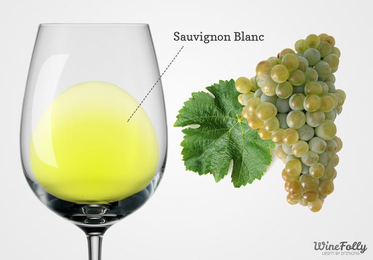 Sauvignon blanc About Sauvignon Blanc Wine Taste Regions and Food Pairing Wine
