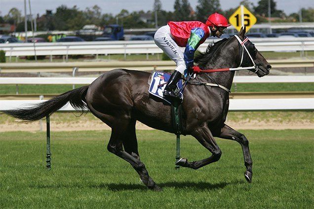 Savabeel Ellerslie Group Double For Savabeel