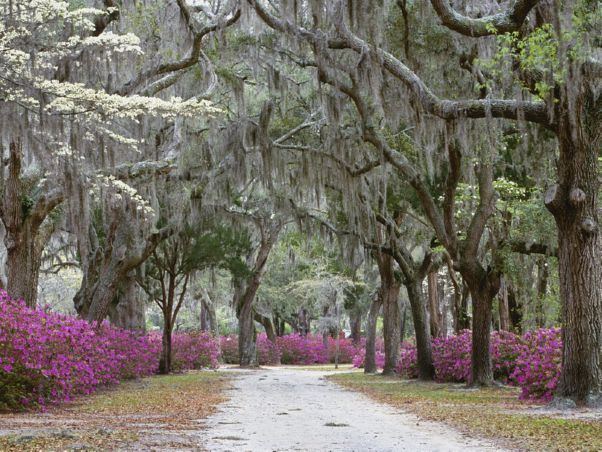 Savannah, Georgia in the past, History of Savannah, Georgia