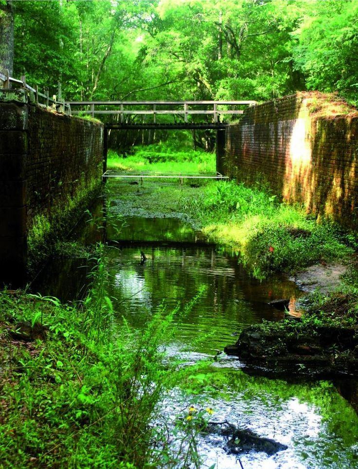 Savannah–Ogeechee Canal Savannah Ogeechee Canal Society Outdoor Adventures Pinterest
