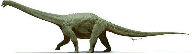 Savannasaurus - Alchetron, The Free Social Encyclopedia