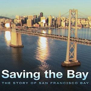Save the Bay Saving the Bay KQED Public Media for Northern CA