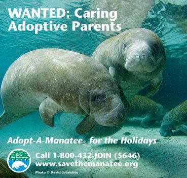 Save the Manatee Club Save the Manatee Club Environmental Watch