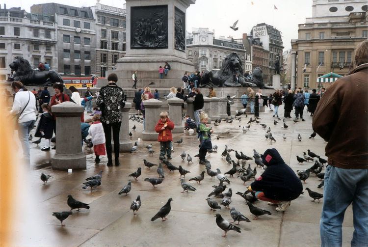 Save the Trafalgar Square Pigeons