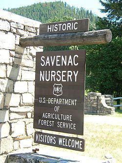 Savenac Nursery Historic District httpsuploadwikimediaorgwikipediacommonsthu