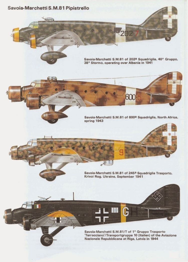 Savoia Marchetti SM.81 - Alchetron, The Free Social Encyclopedia