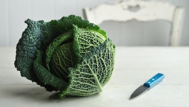 Savoy cabbage BBC Food Savoy cabbage recipes