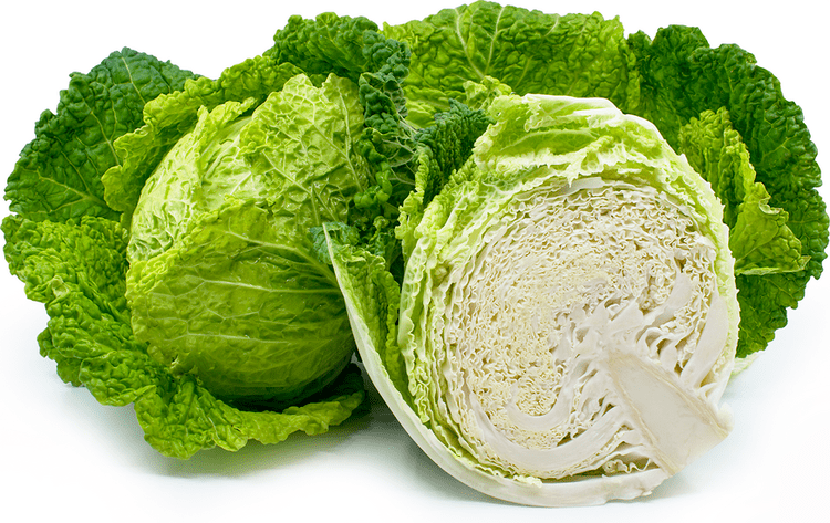 Savoy cabbage Savoy Cabbage Information Recipes and Facts