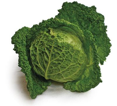 Savoy cabbage Savoy Cabbage Recipe