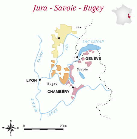 Savoy wine The World of Wine Review France Unit 5 Beaujolais Jura and Savoie